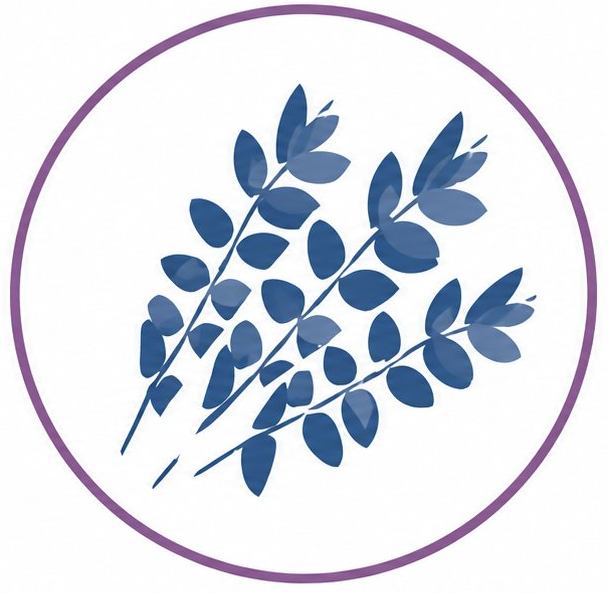 Stroud Complementary Therapies logo